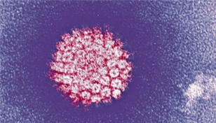 ویروس HPV